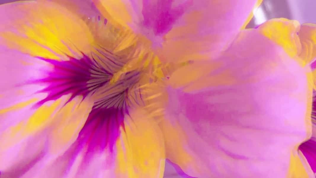 Portada de Wake My Door de Avey Tare