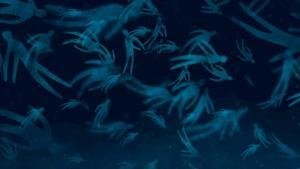 Bright Eyes 'Forced Convalescence'