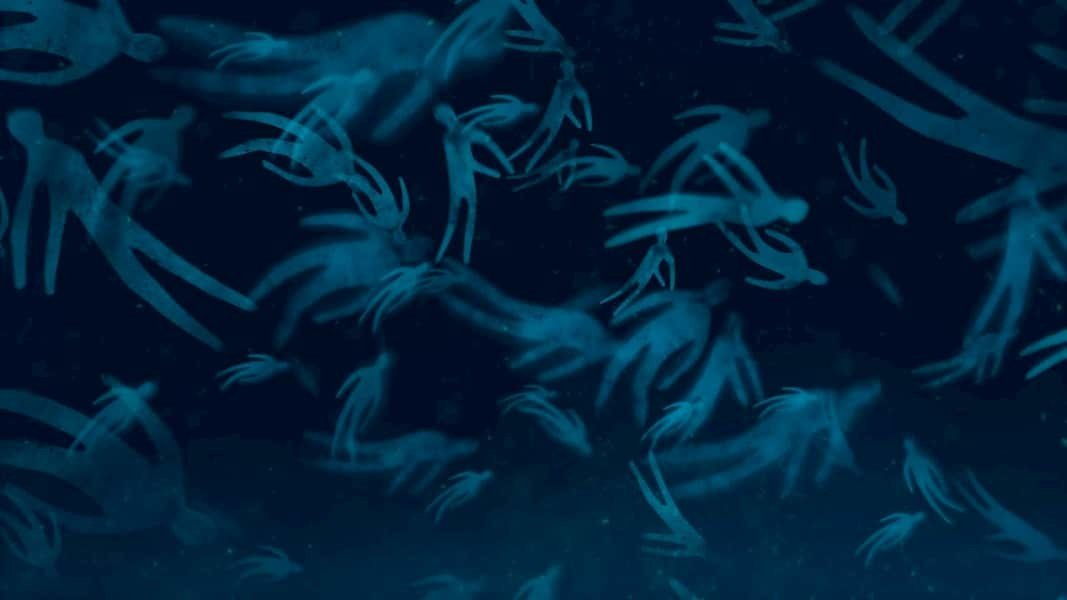 Bright Eyes 'Forced Convalescence'