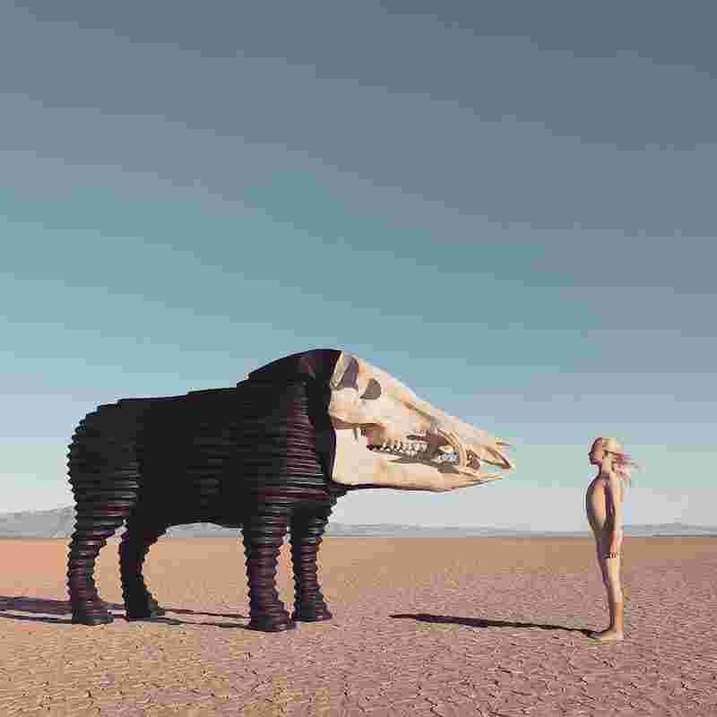 Dream Hunting in the Valley of the In-Between 