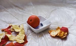 Protomartyr 'Worm In Heaven'