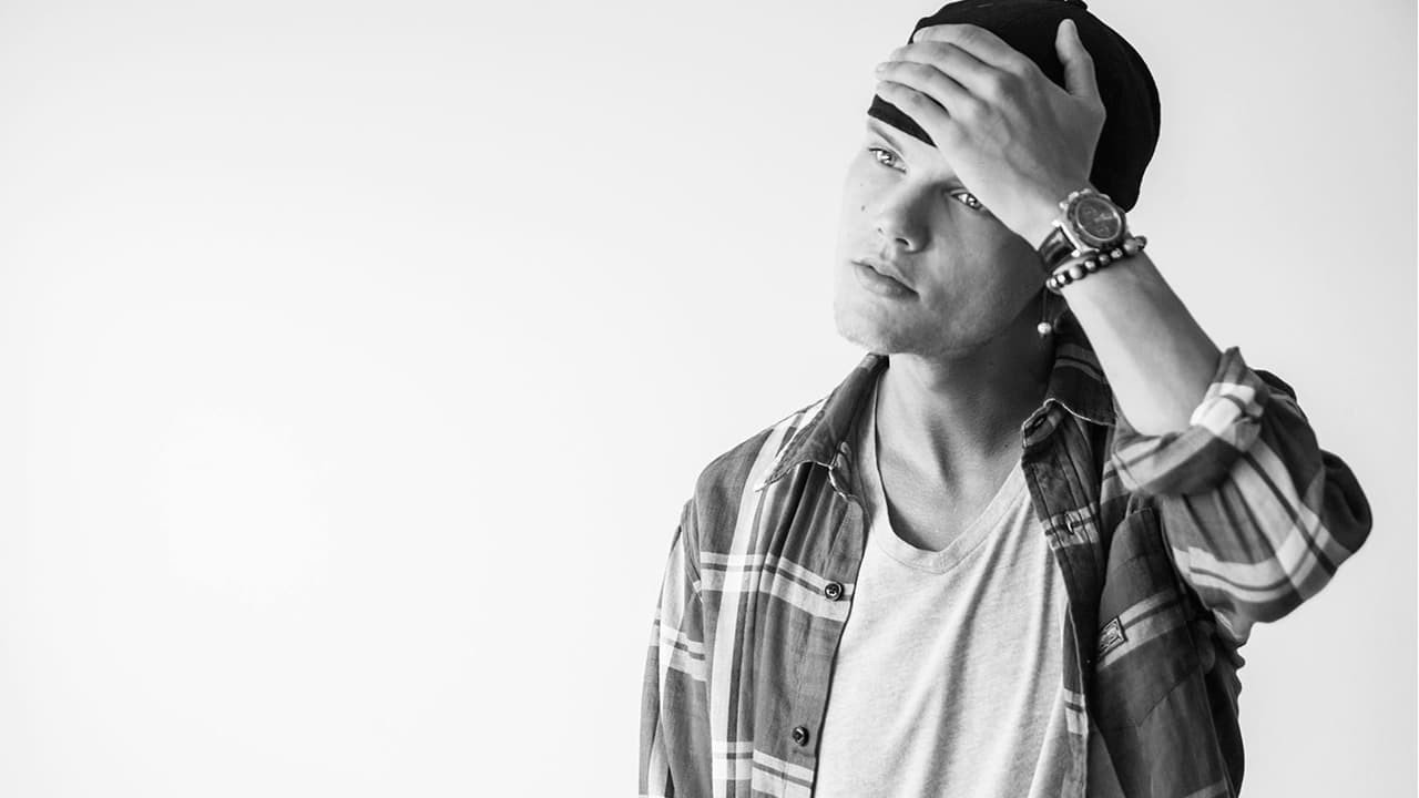 Avicii en 2014
