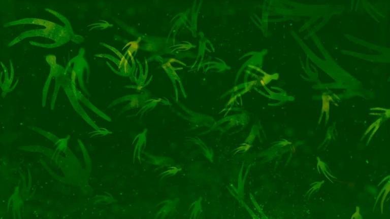 Bright Eyes "One and Done"