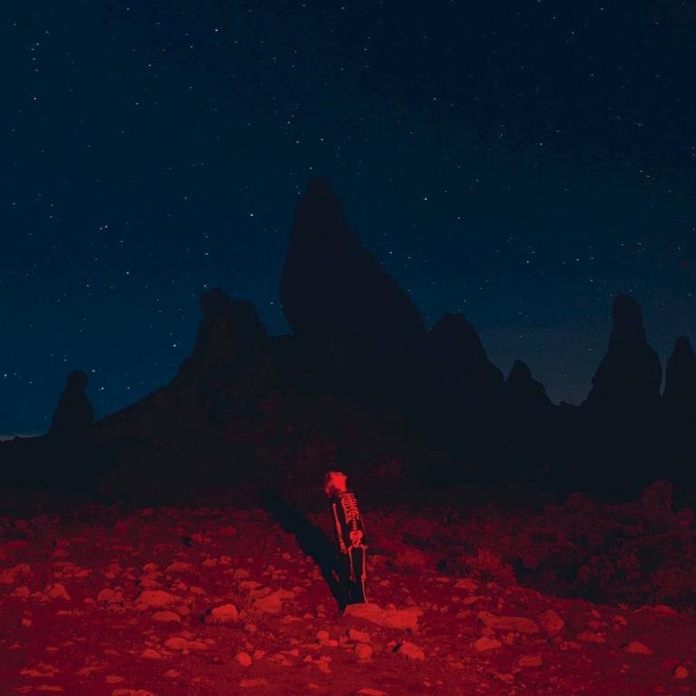 Phoebe Bridgers Punisher