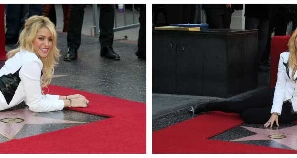 Shakira y Lewis Hamilton: Una amistad que trasciende fronteras o ¿algo más?